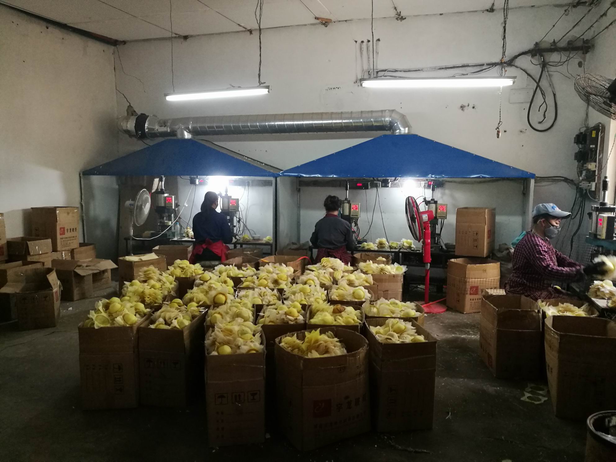 茄子视频污网站 